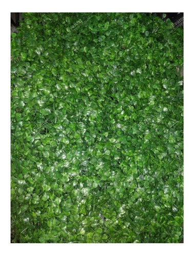 Pasto Artificial Trebol Jardín Vertical 60x40cm Sintetico