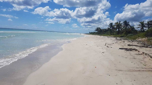 Imagen 3 de 5 de Venta Terreno De 801m2 Frente Al Mar En Carretera Mahahual- Xcalak P3413
