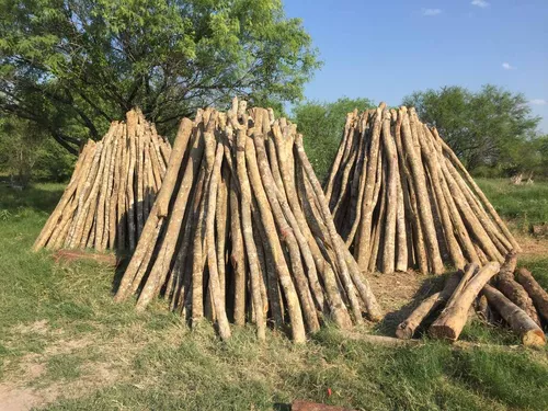 Postes De Madera Para Cercas