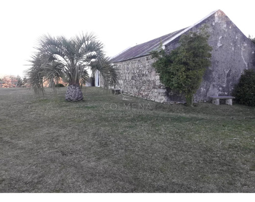 Campo 57 Has Con Casco Antiguo