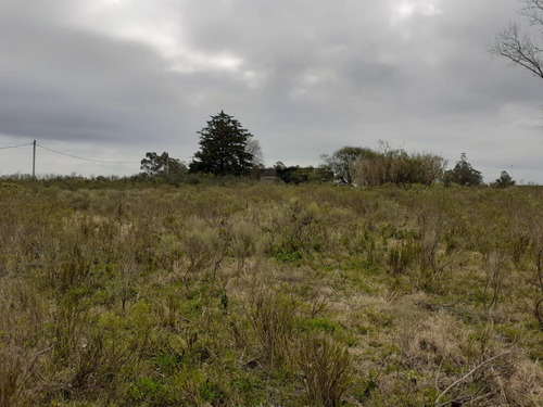 Campo Ruta 67