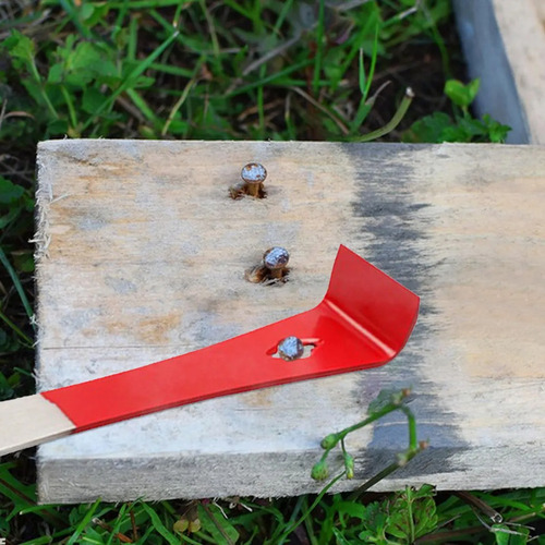 Palanca Para Colmenas Espátula Abejas Miel 26cm