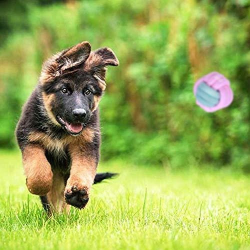 colapets 7 Pack Dog Rope Toys Interactive Chewing Rope Ball Puppy Chew Toys Dog Toys Toy Nearly Indestructible Rope Toy 