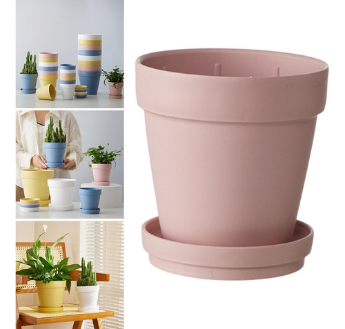 Planta De Maceta De Flores De Flor, Novedad, Olla De Vivero