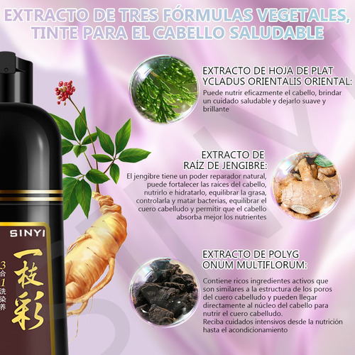 Shampoo Tinte Instantáneo Cubre Canas Natural Jengibre 500ml