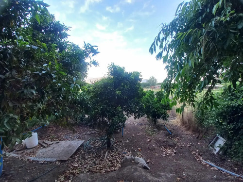 Sitio Con Cabaña Y Plantaciones A Minutos Centro Catemu