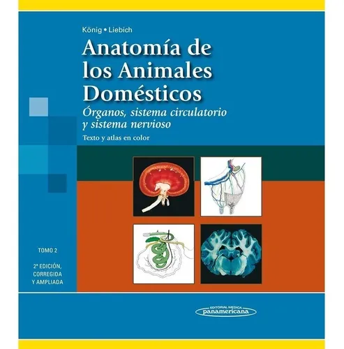 Anatomia De Los Animales Domesticos T2. Koning. Español. Médica Panamericana - Blanda - 2 - Estandar - Sí - 2011
