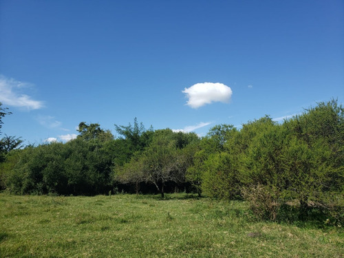 Imagen 3 de 5 de Campo En Venta En Colonia Sobre Ruta Con Costa De Arroyo