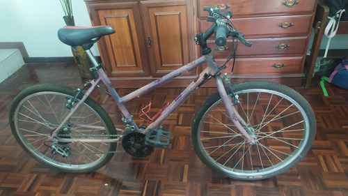 Bicicleta Rin 24