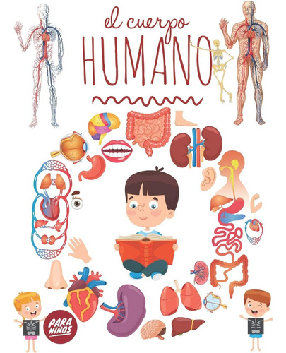 Libro: El Cuerpo Humano Para Niños: Mira Debajo De Tu Cuerpo