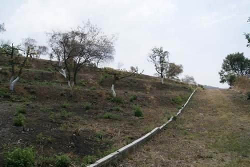 Imagen 3 de 6 de Terreno Campestre Totolapan, Morelos