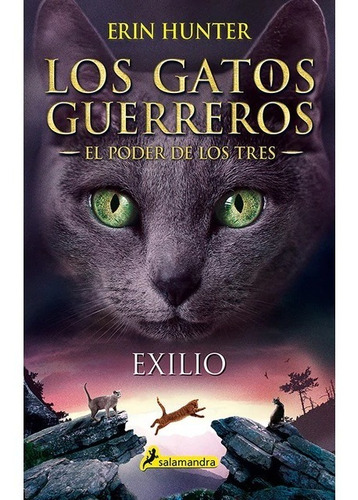 Gatos Guerreros El Poder De Los Tres 3 / Hunter (envíos)