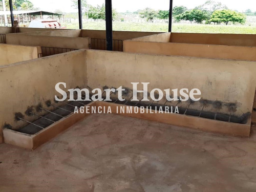 Se Vende Finca En Valle De La Pascua / Rrev09m
