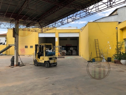 Imagem 4 de 16 de Terreno Para Aluguel, 1000.0 M2, Socorro - São Paulo - 6391