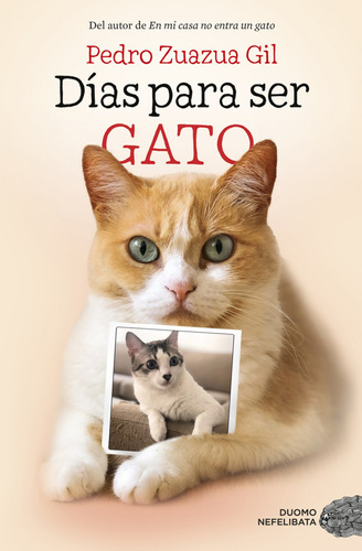 Libro Días Para Ser Gato