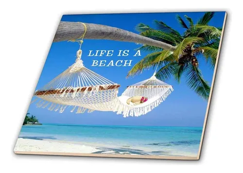 3d Rose Image Of Life Es Una Playa Con Palma De Océano Y De