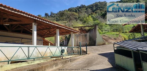 Imagem 13 de 29 de Sítios À Venda Em Bragança Paulista/sp - Compre O Seu Sítios Aqui! - 1443716