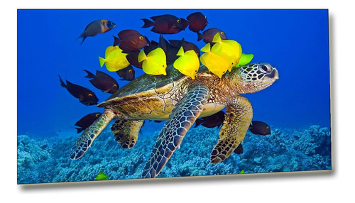 Cuadro Moderno Tortuga Peces Ideal Dormitorio 60 X 90 Cm  