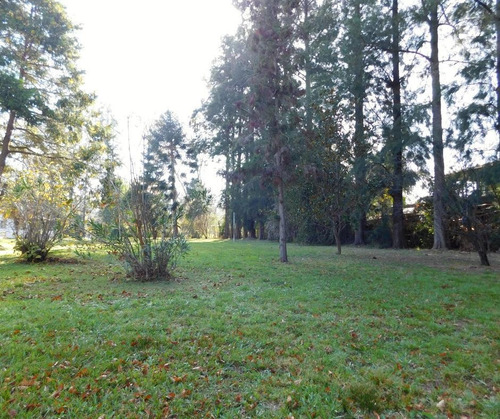 Imagen 2 de 21 de Venta Lote - Parquizado Y Con Perímetro- Parque Exaltación - Exaltacion De La Cruz