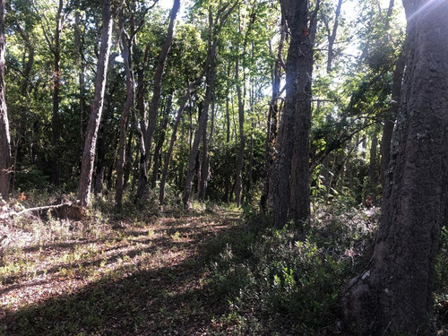 Buscas Un Estilo De Vida En ArmonÃa Con La Naturaleza?