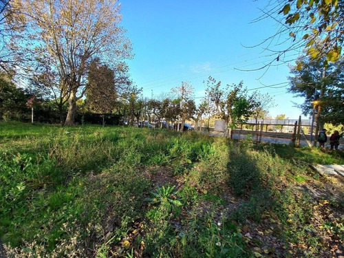 Imagen 3 de 5 de Fraccion En Venta En Dique Luján, Tigre.