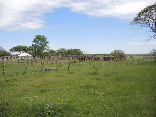 Campo En Venta, Villaguay, Entre Ríos