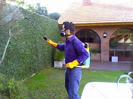 Imagen 8 de 10 de Fumigacion Cucaracha Chinche Pulga Piojo Raton Araña Jardin
