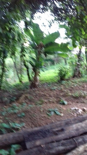Imagem 10 de 14 de Vendo Chácara Dentro Do Df 4mil Mt 120mil