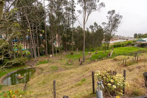 Casa En Venta En La Calera. Cod V10488