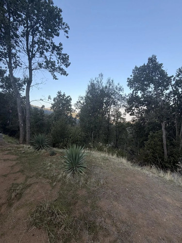 Parcela Con Casa - Sector Rangue, Paine - 1,33 Ha