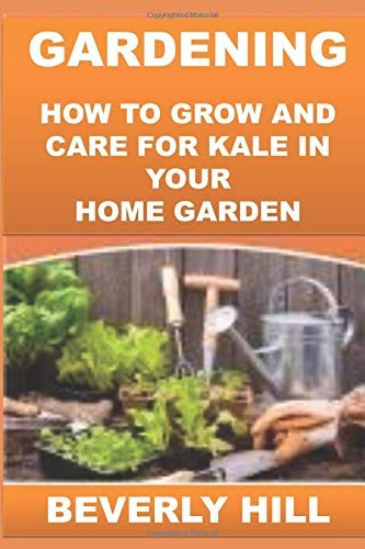 Gardening How To Grow And Care For Kale In Your Home Garden