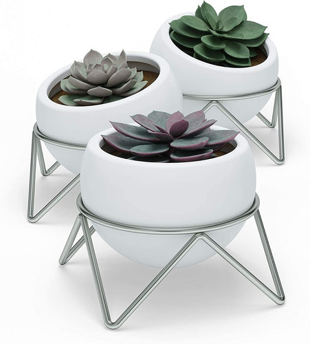 Potsy - Vaso De Planta Mesa Conjunto C/3 Bowls - Umbra 