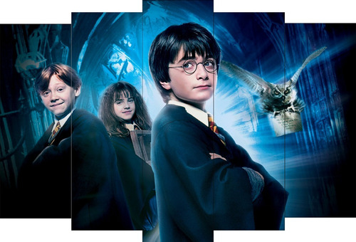 Cuadros Harry Potter Diseños Nuevos 5 Partes 70x50