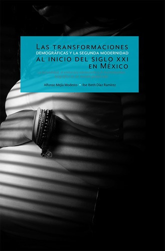Las Transformaciones Demograficas Y La Segunda Moder, De Ilse Ibeth Diaz Ramirez / Alfonso Mejia Modesto. Editorial Dipon En Español