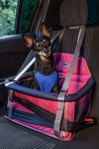 Transpet Assento Cadeira Tubline Carro Cachorro Gato 10 Kg Cor Cinza
