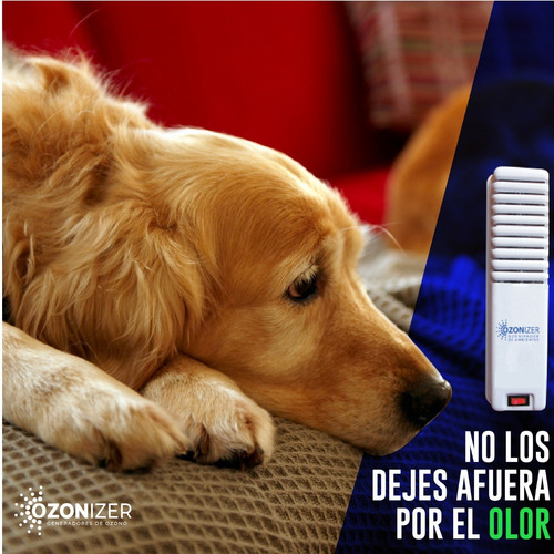 Ozonizador Doble - Purificador Ioniza Y Elimina Olores 300m3