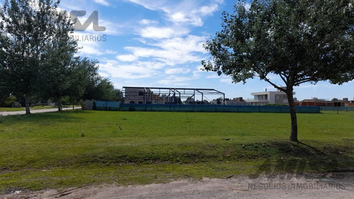 Imagen 5 de 9 de Terreno - Roldan