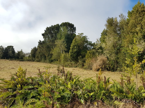 Parcela En Loteo Consolidado En Puerto Varas.