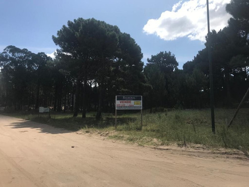 Lote En Venta - Zona Norte (multifamiliar) / Ref: 1525