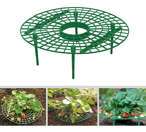 Soportes Para El Cultivo De Fresas Para Mantener Las Fresas