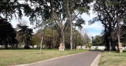 Imagen 17 de 23 de Terreno - Ingeniero Adolfo Sourdeaux