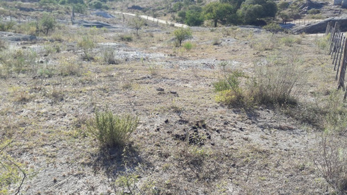 Imagen 6 de 12 de Terreno En Venta - Cordoba Calmayo - Títulos Perfectos