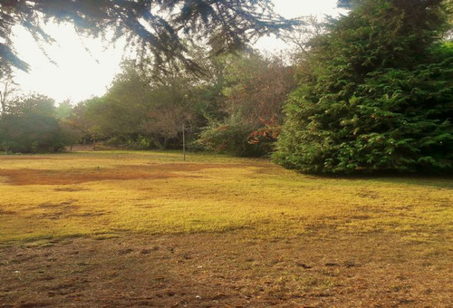 Lo Pinto, Estupenda Casa 280 M2, 4 Piezas Más Serv