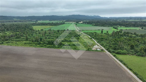 Agrícola En Venta En Lago Ranco La Unión