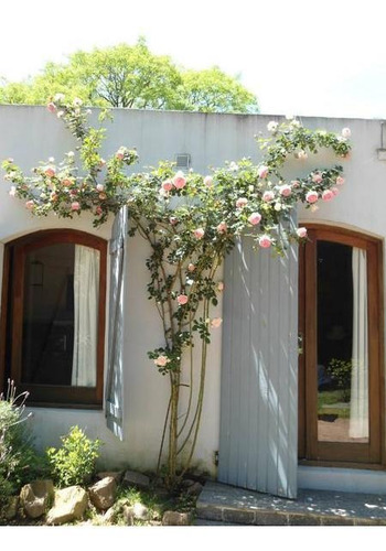Imagen 7 de 30 de Hotel Boutique En Chacra En Centro De La Ciudad De Treinta Y Tres, Uruguay
