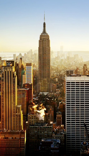 Vinilo Decorativo 60x90cm Empire State Building Ciudades M2