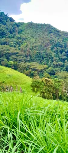 Finca En La Palma Cundinamarca