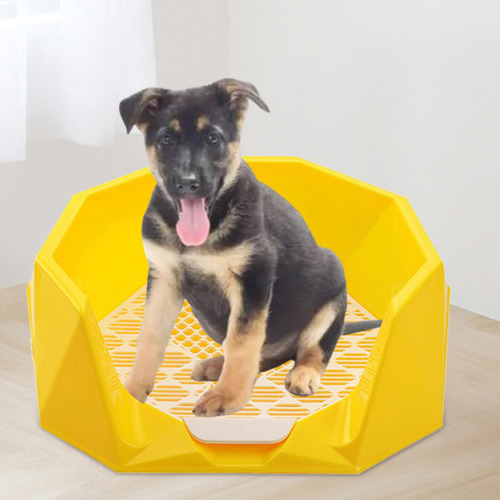 Almohadilla Para Ir Al Baño Para Perros, Soporte Amarillo