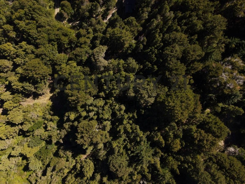Imagen 3 de 15 de Lote En Venta - Bariloche - Zona Llao Llao - Id:15240