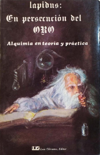 Libro - En Persecucion Del Oro -  Lapidus - Luis Carcamo